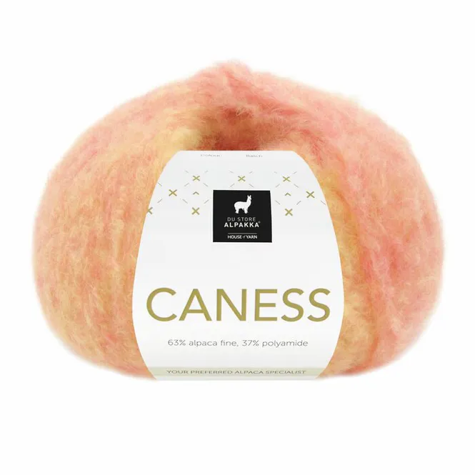 Hovedbilde Caness